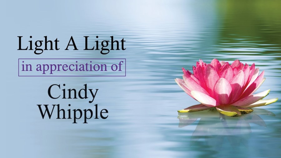 Light a Light in Appreciation of Cindy Whipple